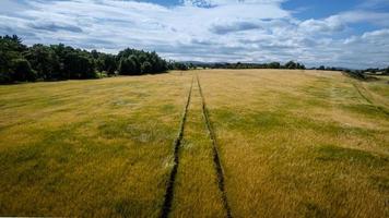 Tracks in Crops 01 photo