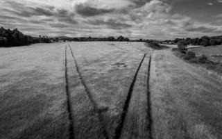 Tracks in Crops 02 photo