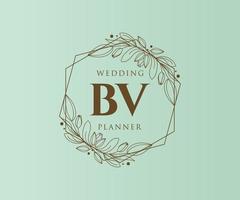 Colección de logotipos de monograma de boda con letras iniciales bv, plantillas florales y minimalistas modernas dibujadas a mano para tarjetas de invitación, guardar la fecha, identidad elegante para restaurante, boutique, café en vector