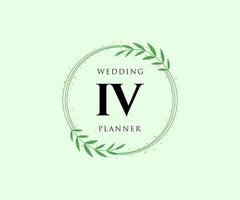 colección de logotipos de monograma de boda con letras iniciales iv, plantillas florales y minimalistas modernas dibujadas a mano para tarjetas de invitación, guardar la fecha, identidad elegante para restaurante, boutique, café en vector