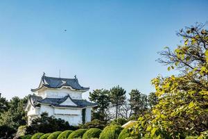 castillo de nagoya con un cielo despejado durante el condimento de hojas de otoño. el castillo de nagoya es un hito principal en chubu central de japón y tiene samuráis como símbolo del castillo. foto