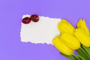 Yellow tulips with white sheet for text or mockup and two red quail eggs. Easter background. Copy space photo