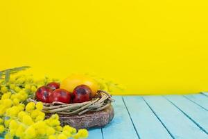 Red eggs in nest with mimosa. Yellow background with blue boards. Happy easter. Copy space photo