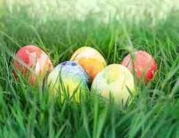 Colored eggs in green grass. Easter concept, hunter game. Copy space photo