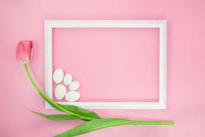 Tulip with frame and white stones on pink background. Holiday, Birthday, 8 March, Mother's, International Women's Day, Valentine. Copy space photo