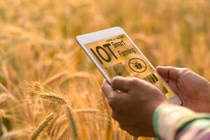 Smart farming concept. Farmer with technology digital tablet on background of wheat field. Professional farmers use internet of things IOT computers system to manage farms. agriculture modern idea. photo