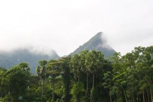 Scenery and morning fog in southern Thailand photo