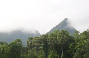 paisaje y niebla matutina en el sur de tailandia foto