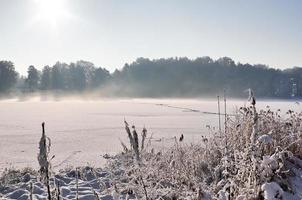 hermosa foto de invierno en un lago y un bosque con nieve y hielo.