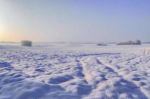 un pedazo de tierra de cultivo cubierto de nieve blanca en invierno en un día soleado. foto