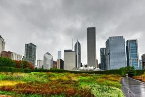 Chicago Skyline View from Lurie Garden photo