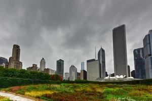 Chicago Skyline View from Lurie Garden photo