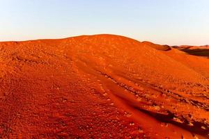 Namib Sand Sea - Namibia photo