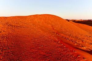 Namib Sand Sea - Namibia photo