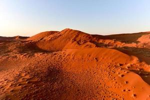 Namib Sand Sea - Namibia photo