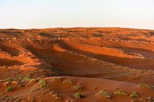 Namib Sand Sea - Namibia photo