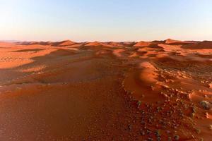 Namib Sand Sea - Namibia photo