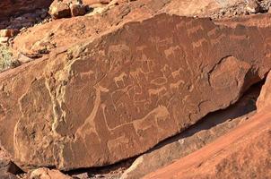 Bushman Rock Engravings - Namibia photo