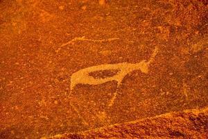 Bushman Rock Engravings - Namibia photo