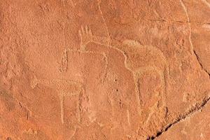 Bushman Rock Engravings - Namibia photo