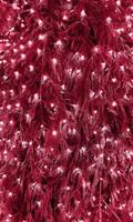 Closeup branches of coniferous tree decorated with glittering balls and shiny light garland on Christmas day at home. Color Of The Year 2023 - Viva Magenta photo