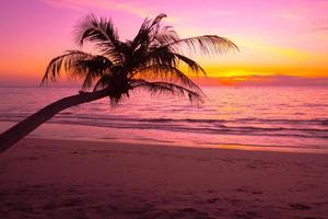 silueta de palmeras hermosa puesta de sol en el fondo de la playa del mar tropical para viajar en tiempo de relajación de vacaciones, foto