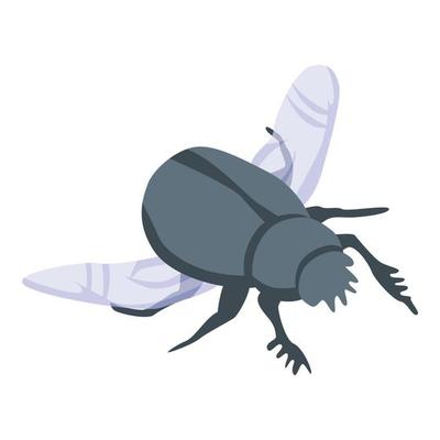 Flying scarab icon, isometric style