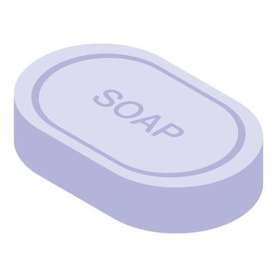 Home soap icon, isometric style