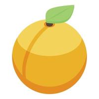 Peach icon, isometric style vector