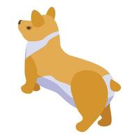 Pet corgi dog icon, isometric style vector