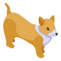 divertido icono de perro corgi, estilo isométrico vector