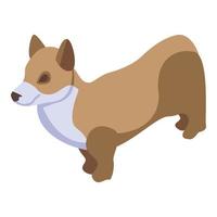 Domestic corgi dog icon, isometric style vector
