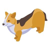 icono de perro corgi cachorro, estilo isométrico vector