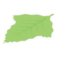 Raspberry plant leaf icon, isometric style vector