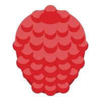 Garden raspberry icon, isometric style vector