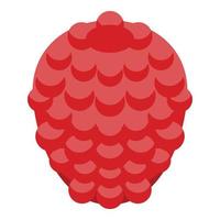 Garden raspberry icon, isometric style vector