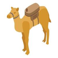 Egypt camel icon, isometric style vector