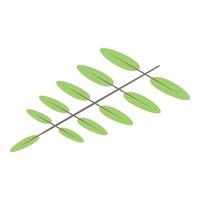 Olive tree branch icon, isometric style vector