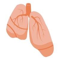 Human lungs icon, isometric style vector
