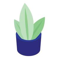 Houseplant icon, isometric style vector