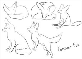 set fennec foxes vector illustrations