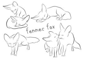 fennec fox set outline illustration vector