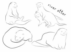 otter set contour illustration vector element design