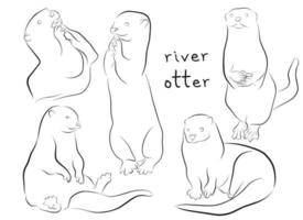 river otter set contour illustration vector