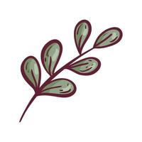 Vector isolated doodle illustration on white background. A single branch of a herb or plant with leaves. Little twig. Natural element for decoration or design.