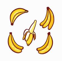 Banana Flat Design Fruit Icon. Banana icon set. Vector. vector