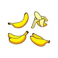 Banana Flat Design Fruit Icon. Banana icon set. Vector. vector