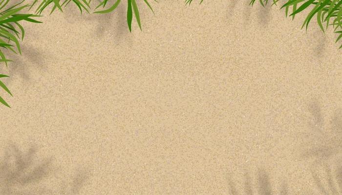 Sand Texture,Top view Beach with palm leaf and shadow on sandy background,Vector Seaside tropical beach with Coconut leaves on brown colour with copy space,Summer Hoilday backdrop