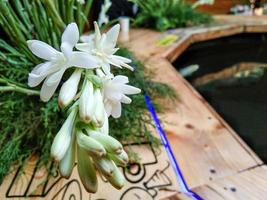 Polianthes tuberosa flower crown against a wooden table background photo