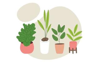 Set of houseplants with leaves for home decor. Green decor. Flat vector illustration